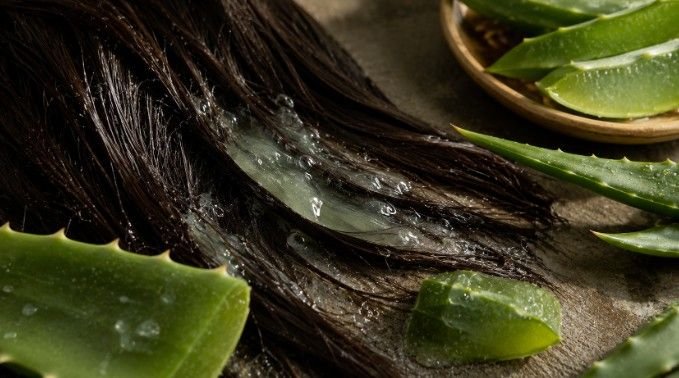 Avoid Aloe Latex